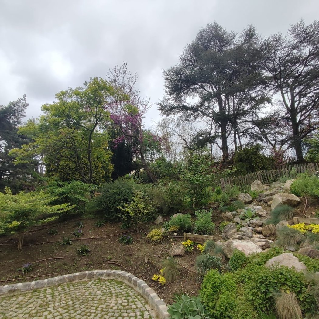 remarquable fleurs et arbres Garden 2